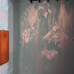 Shebbi Chic אודסה